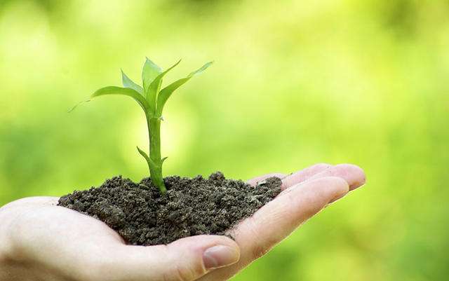 土壤測(cè)試儀 土壤測(cè)試儀